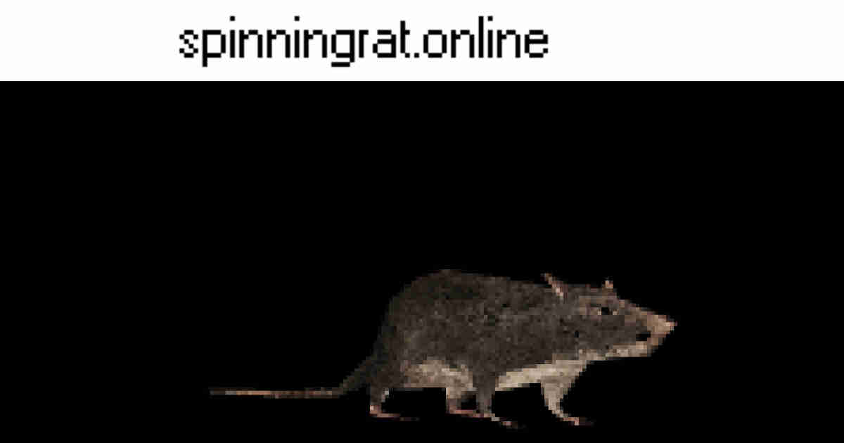 Spinningrat Online   Social Card 